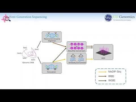 Sequencing Based Approaches for Profiling DNA Methylation