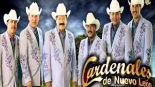 detengase señora cardenales de nuevo leon