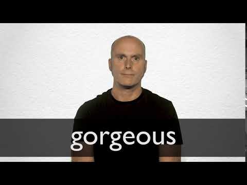 Gorgeous Synonyms | Collins English Thesaurus