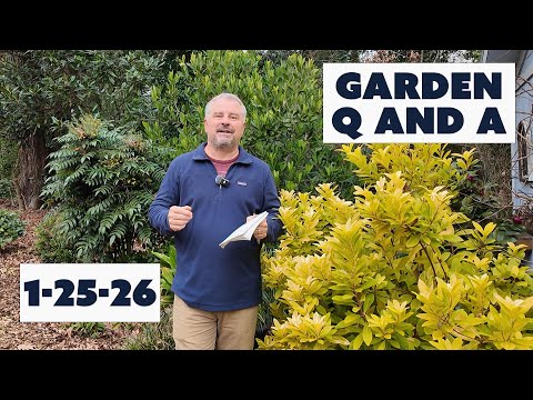 Ice and Snow in the Garden, Changing Soil Chemistry, HOA Rant - Garden Questions Answered