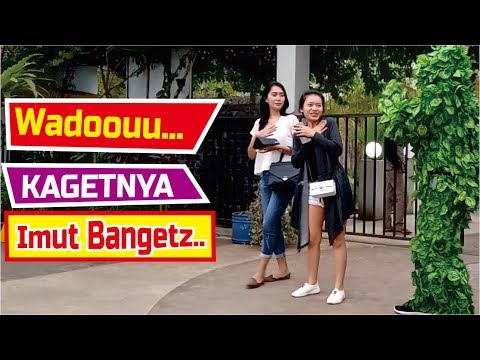 taman-kota-balai-kemambang-purwokerto-bushman-prank-manusia-pohon