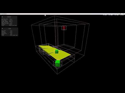 Video Demo