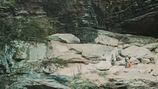 Fever Fever - Hypnotized [Official Video]