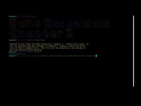 Echo Quick Start Guide | 2 Developing Echo Projects