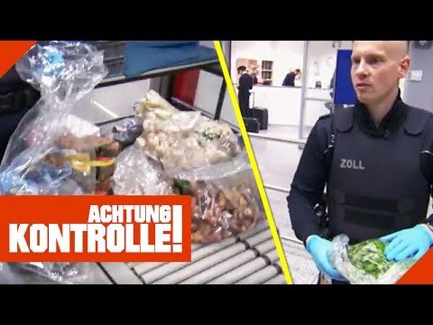 Unerlaubte Einfuhr - auffälliger Passagier bei Zollkontrolle! | Achtung Kontrolle | Kabel Eins