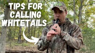 Tips For Calling Whitetail Deer With Grunt and Rattle Calls