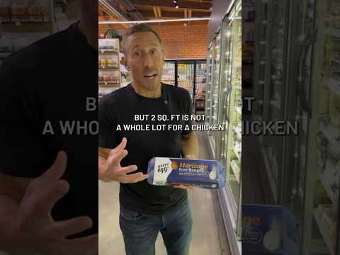 What are “Free-Range” eggs?