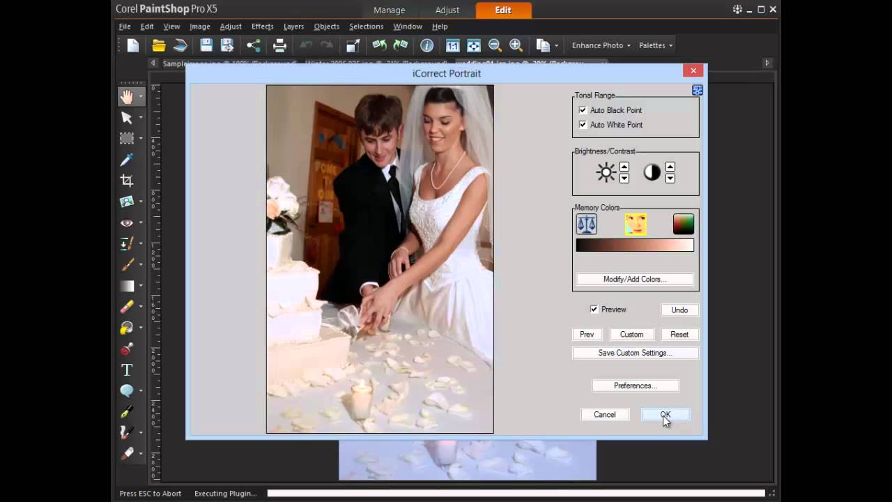 Lose Weight with Paint Shop Pro XI Tutorial - video 11