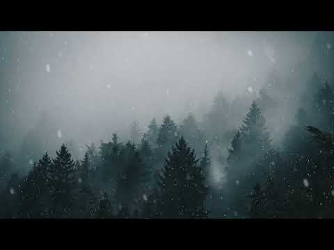winter forest snow 4k live wallpaper