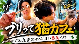 【ブリって猫カフェ】大麻屋経営者の休日が最高すぎた...