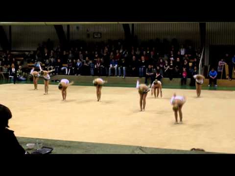 HF pinkur b Kambsdalur 2011