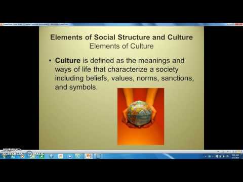 Chapter 1:  Social Problems