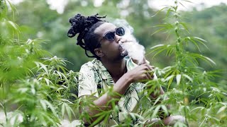 Sublow Hz feat. Frass Groovas - Kush (Official Music Video)