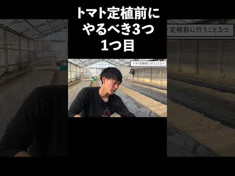 秋にトマトの後に何を植えることができますか？温室と庭用の7つの植物  庭園