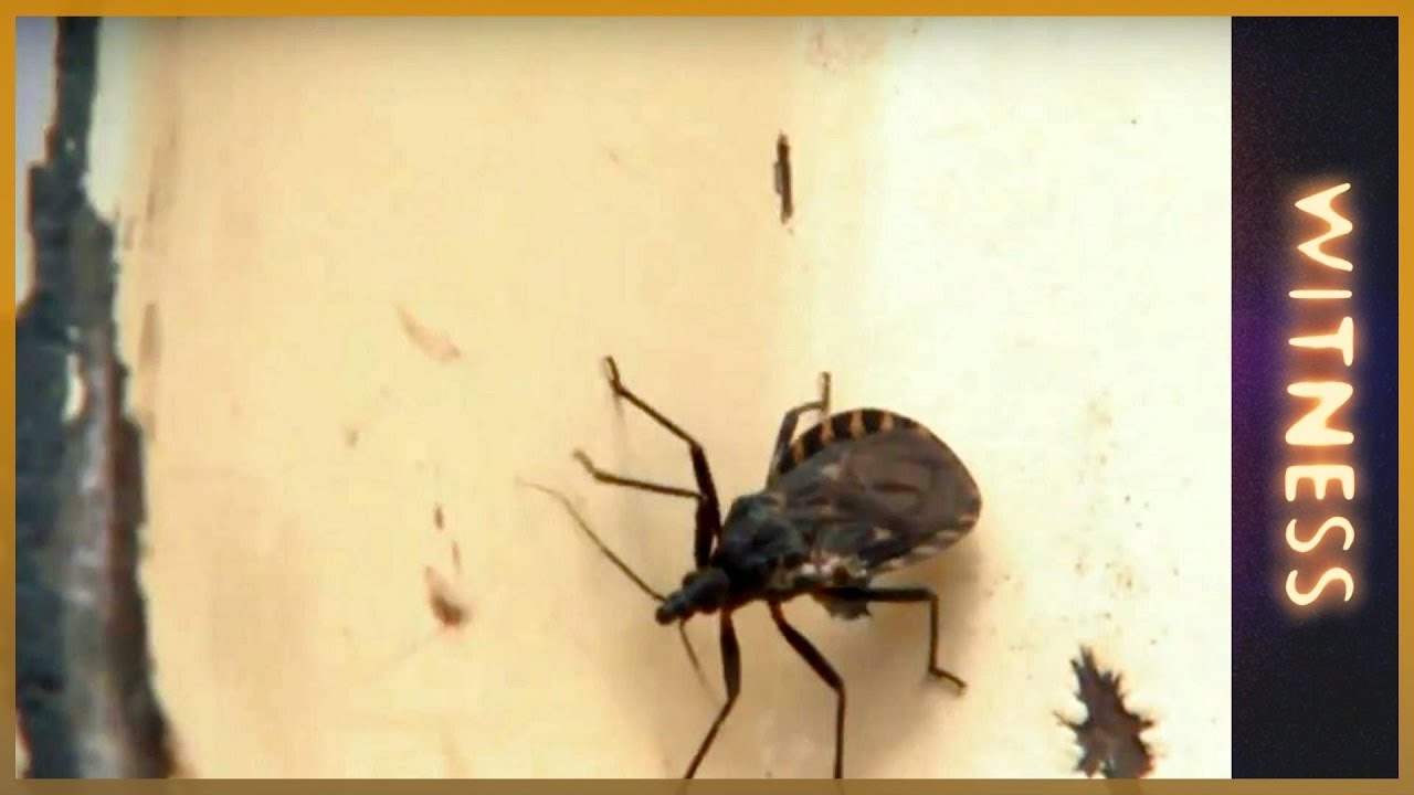 Chagas: A Silent Killer