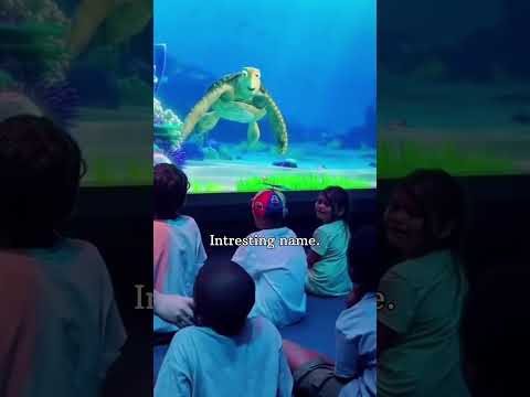 PERFECT RESPONSE | Turtle talk with crush 🥰