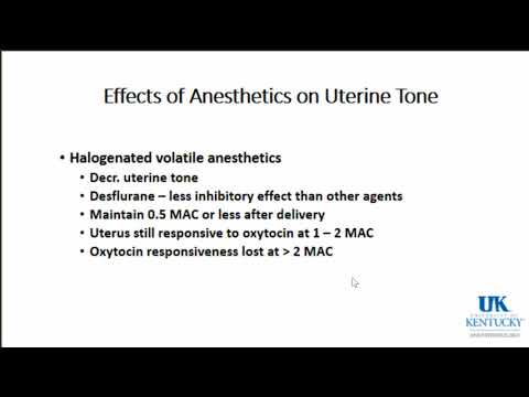 OB Keywords pt2 - Dr. Fragneto