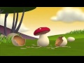 Gazoon Mushroom R