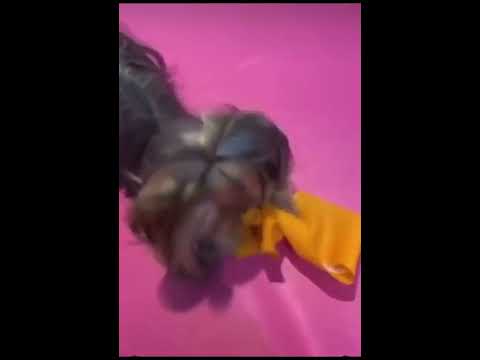 Hailee & Martini Steinfeld Cutest Moments