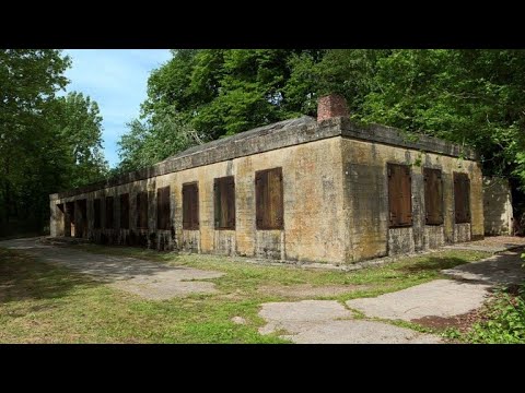 Le "Ravin du Loup 2", QG oublié d'Hitler | AFP News