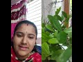 Teju Vlogs ️ Is Live Hii Friends