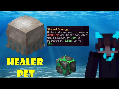 ESTE PET ERA MALO Y AHORA ESTA OP HYPIXEL SKYBLOCK