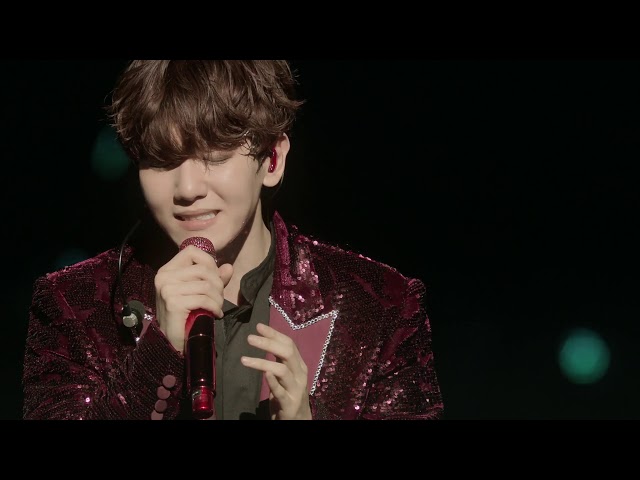 EXO-CBX 첸백시 - Cry (LIVE) "MAGICAL CIRCUS" 2019 - Special Edition -
