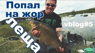Чем приманивать леща весной на