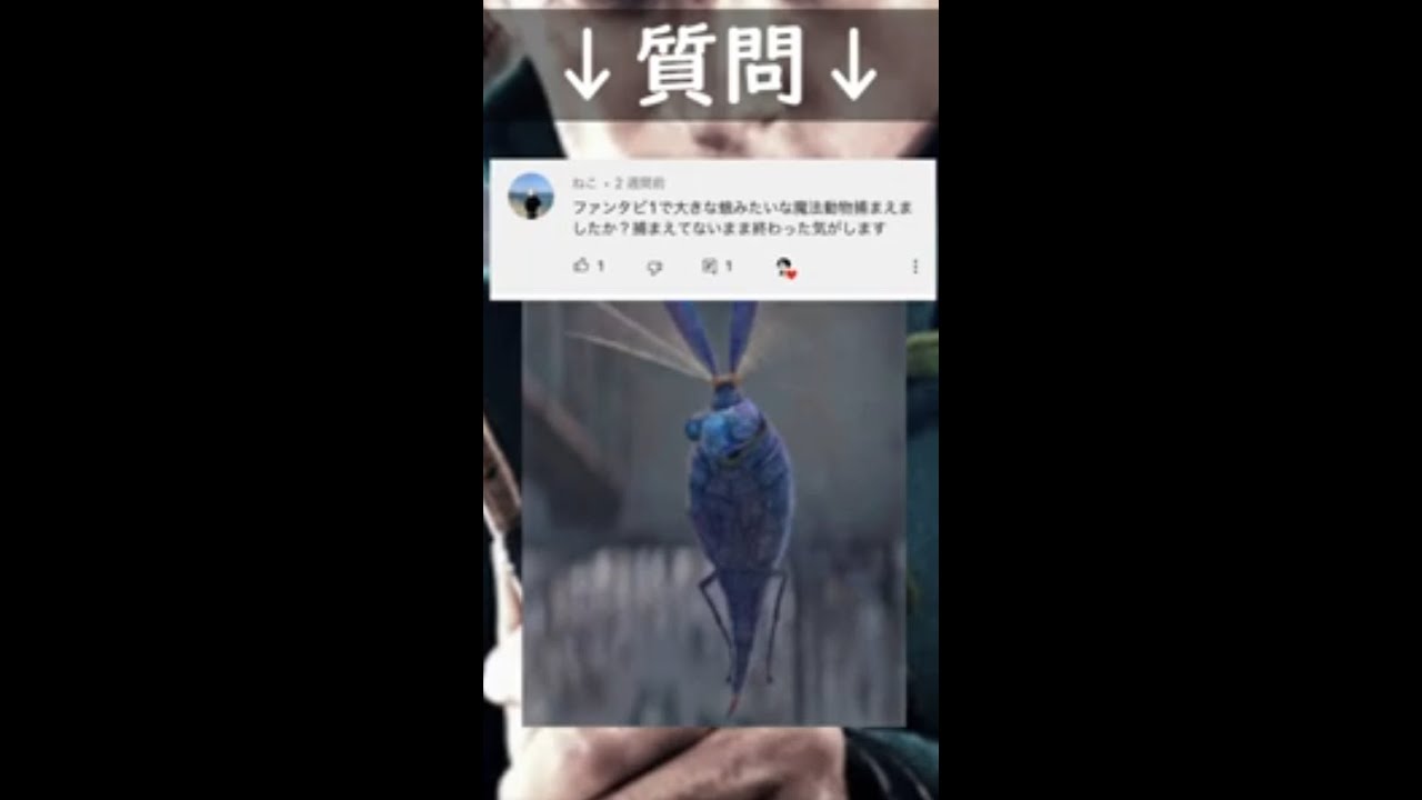 あの虫捕まえてないよね？＃解説＃小ネタ＃ファンタビ