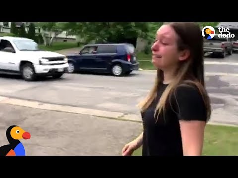 Woman Is So Determined To Find Her Lost Cat | The Dodo