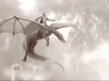 Ignis Fatuu - Drachenreiter 