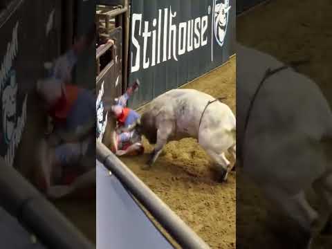 You can't look away from this wreck...