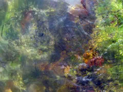 Harmonic Meditation ~ David Hykes