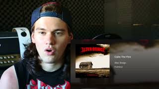 alter bridge calm the fire reaction