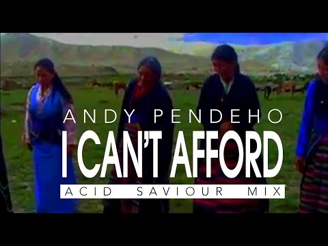 Andy Pendeho - I can't afford (Acid Saviour TechHouse)