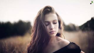 Bipolar Sunshine - Drowning Butterflies (We The Wild Remix)