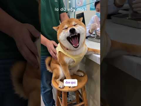 La muốn bể cái bệnh viện luôn