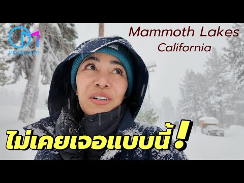 Plans went wrong: Traveling in the middle of a snowstorm in California Ep.2 #Mosla | Mammoth Lake...