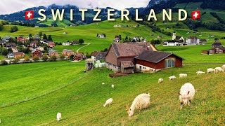 SWITZERLAND VILLAGE LIFE IN SEPTEMBER, APPENZELL🇨🇭SWISS COW’S RETURN HOME FROM ALPINE 