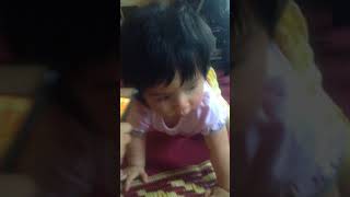 Tara Vo Play Toys 2013 4648