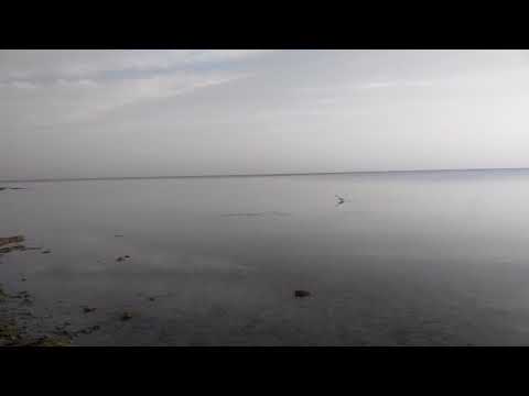 Marsa alam Calimera Habiba Beach Resort