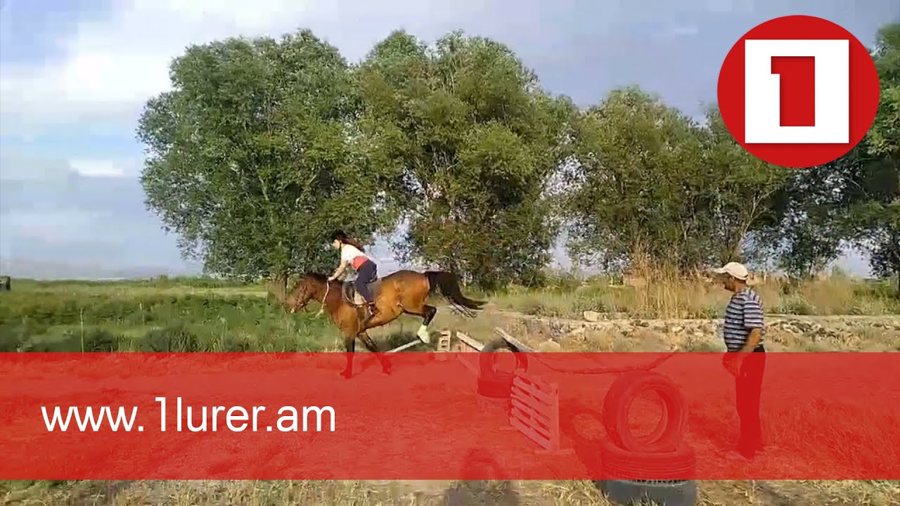 Բիզնես գաղափարը՝ խոշորացված համայնքից, գումարը՝ դոնորներից