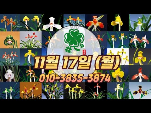 유튜브 썸네일