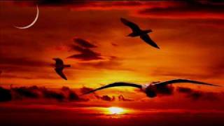 Enigma -- Olá! E bem-vindo há vida!  Hello and welcome ..wmv