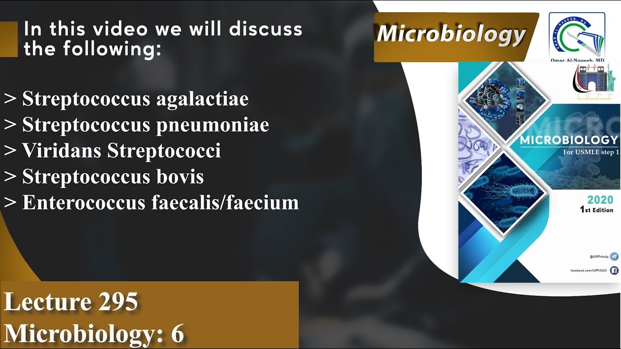 Streptococcus agalactiae | Streptococcus pneumoniae | Viridans Streptococci | Enterococcus faecalis