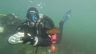 Fun Dive at Whytecliff Park in Vancouver BC