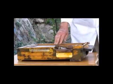 PČELARSKI SAVJETI: KAKO NAPRAVITI GALIĆEVU PODNJAČU? (STEVO GALIC`S BEEHIVE FLOOR)