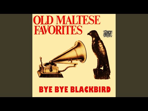 Bye Bye Blackbird (Bird Vocals)