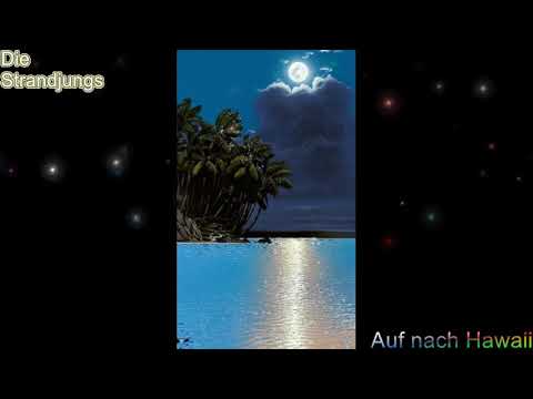 Rockclassics: Die Strandjungs - Auf nach Hawaii