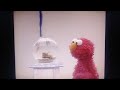 Elmo S World Dorothy S Shoes Question